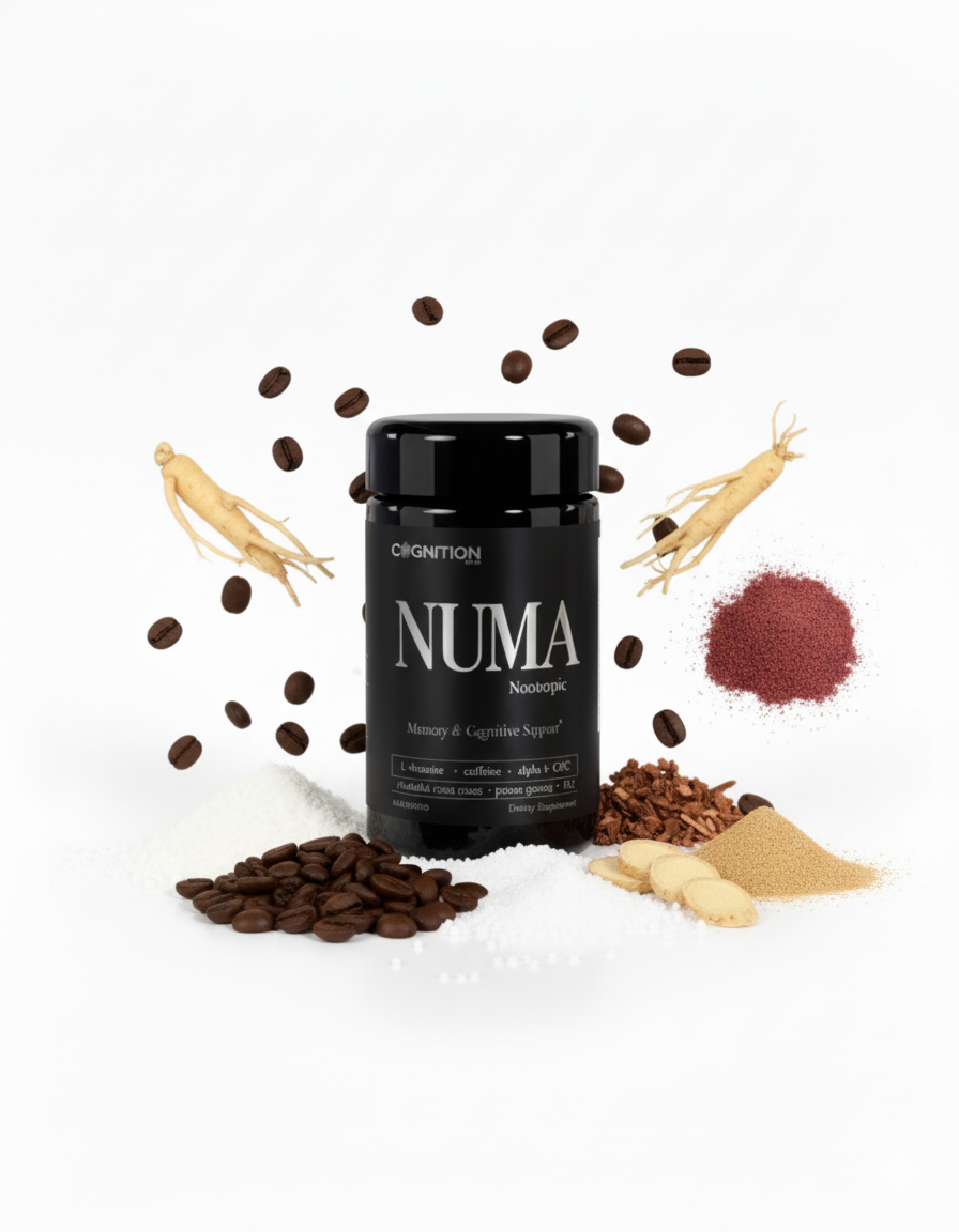 NUMA - The Focus Ritual